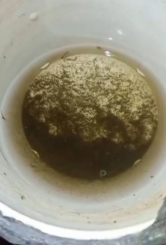 病媒蚊容易躲藏的容器 病媒蚊容易躲藏的容器